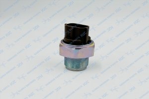 499000-6131 Части экскаватора датчика давления топлива для общих железных дорог